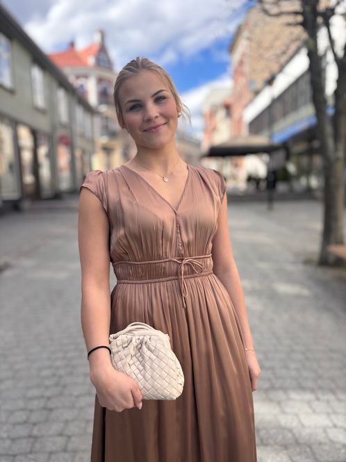 Hovedbilde Caravan Dress Nutshell